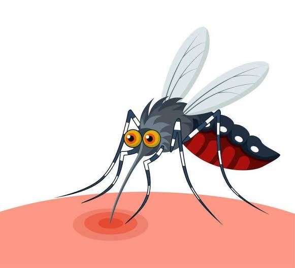 Waspada Demam Berdarah Mitos dan Fakta